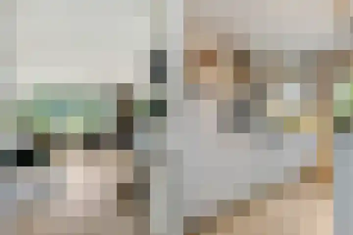 Christiaan Kannemansstraat 49 Rosmalen thumbnail 26