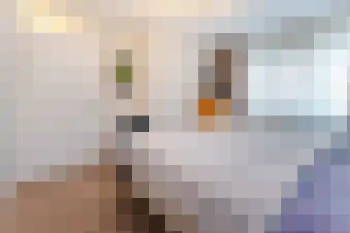 Christiaan Kannemansstraat 49 Rosmalen thumbnail 31