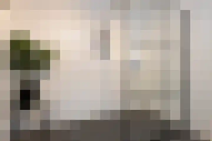 Christiaan Kannemansstraat 49 Rosmalen thumbnail 35