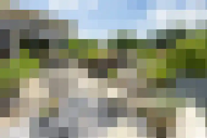 Christiaan Kannemansstraat 49 Rosmalen thumbnail 41