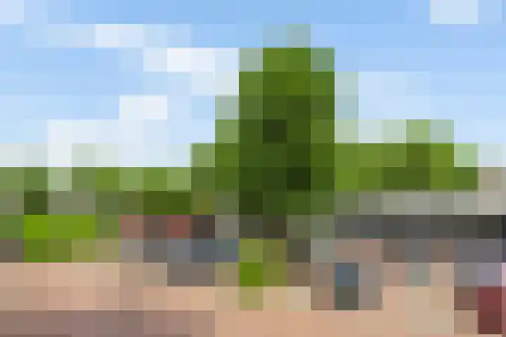 Christiaan Kannemansstraat 49 Rosmalen thumbnail 48