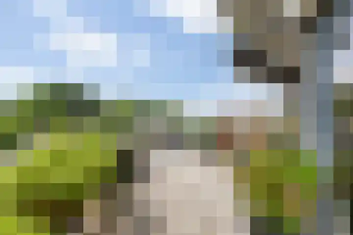 Christiaan Kannemansstraat 49 Rosmalen thumbnail 5