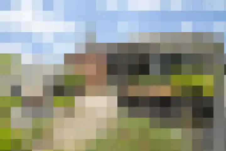 Christiaan Kannemansstraat 49 Rosmalen thumbnail 6