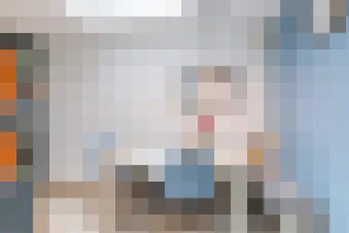 Christiaan Quixstraat 39 Hoensbroek thumbnail 10