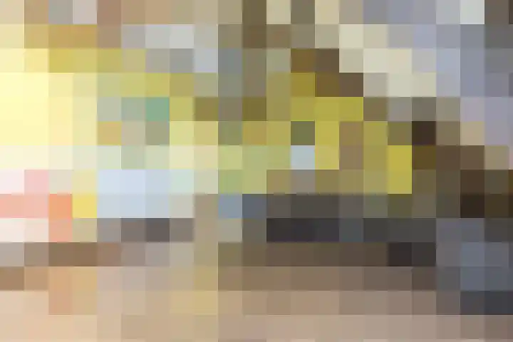 Christiaan Quixstraat 39 Hoensbroek thumbnail 33