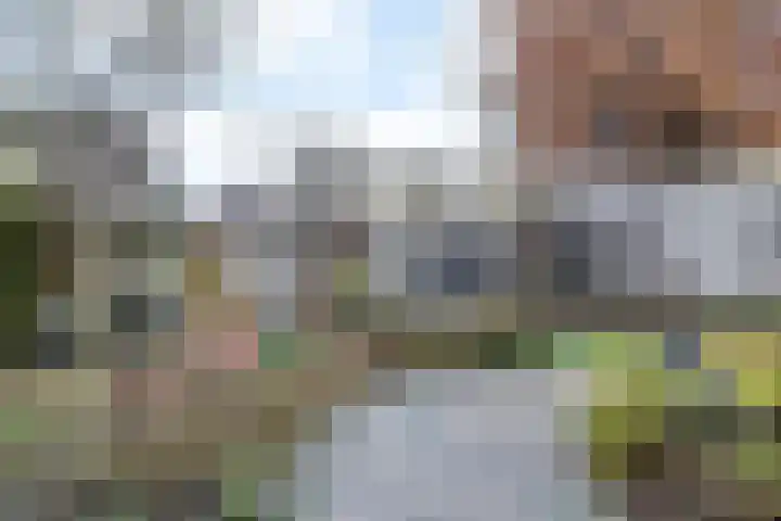 Christiaan Quixstraat 39 Hoensbroek thumbnail 44