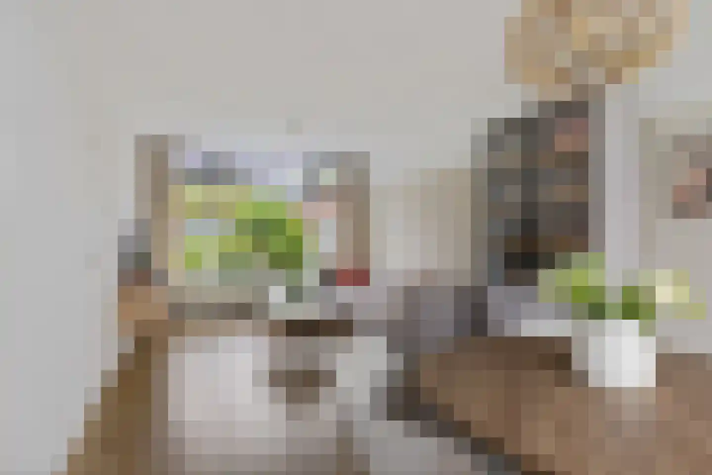 Christiaan Schotanusstraat 40 Sneek thumbnail 13
