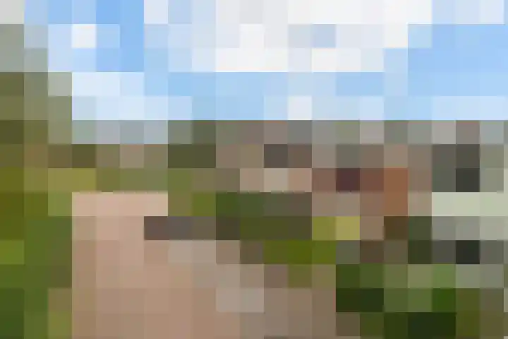 Christiaan Schotanusstraat 5 Sneek thumbnail 33