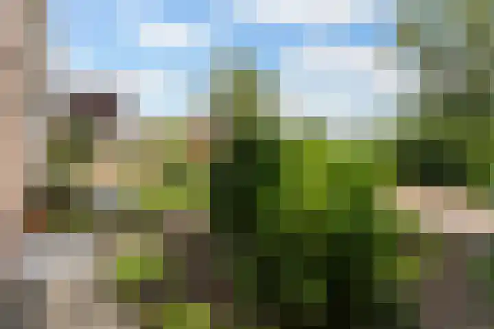 Christiaan Schotanusstraat 5 Sneek thumbnail 36