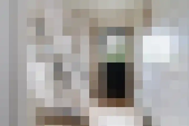 Christiaan Schotanusstraat 5 Sneek thumbnail 5