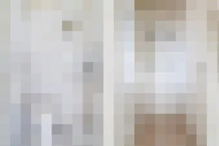 Christiaan Schotanusstraat 5 Sneek thumbnail 6