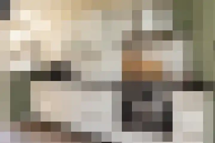 Christiaan Schotanusstraat 9 Sneek thumbnail 11