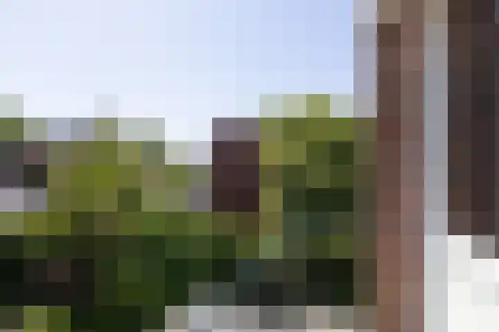 Christiaan Schotanusstraat 9 Sneek thumbnail 24