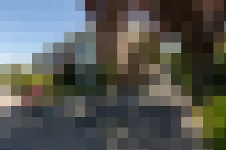 Christiaan Schotanusstraat 9 Sneek thumbnail 33