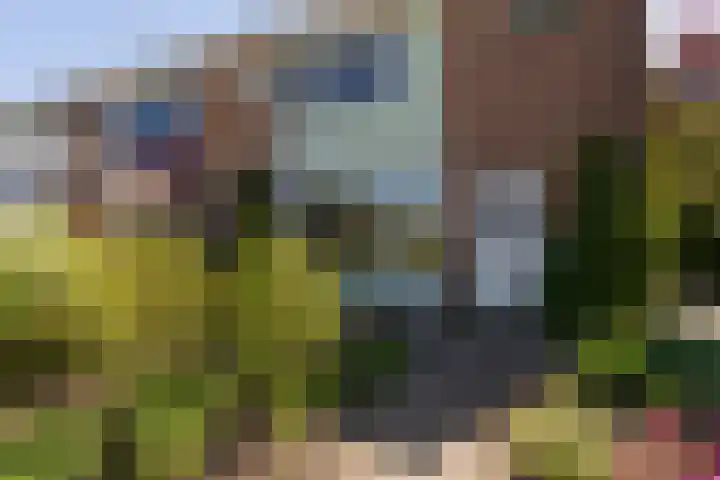 Christiaan Schotanusstraat 9 Sneek thumbnail 36