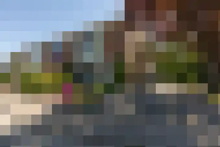 Christiaan Schotanusstraat 9 Sneek thumbnail 43