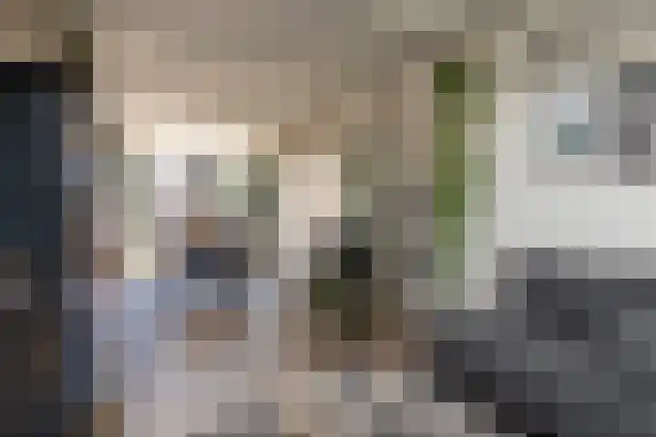 Christiaan Schotanusstraat 9 Sneek thumbnail 6