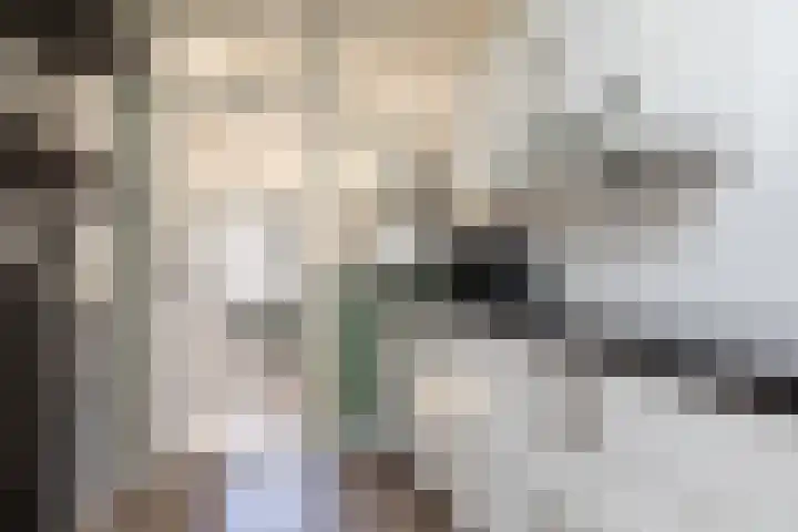 Christiaan Schotanusstraat 9 Sneek thumbnail 9