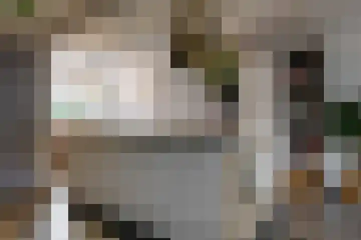 Christiaan Sepplaan 20 Beverwijk thumbnail 10