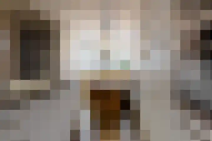 Christiaan Sepplaan 20 Beverwijk thumbnail 11