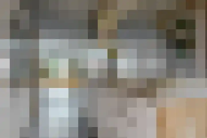 Christiaan Sepplaan 20 Beverwijk thumbnail 14