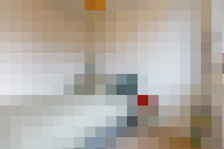 Christiaan Sepplaan 20 Beverwijk thumbnail 19