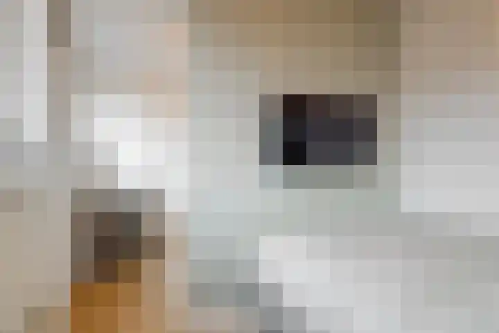Christiaan Sepplaan 20 Beverwijk thumbnail 21