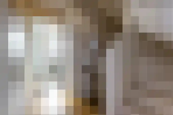 Christiaan Sepplaan 20 Beverwijk thumbnail 22