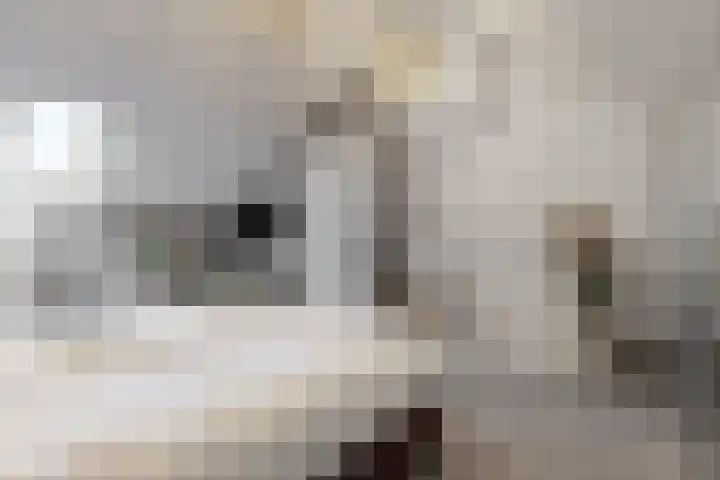 Christiaan Sepplaan 20 Beverwijk thumbnail 30