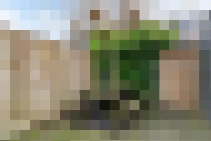 Christiaan Sepplaan 20 Beverwijk thumbnail 38