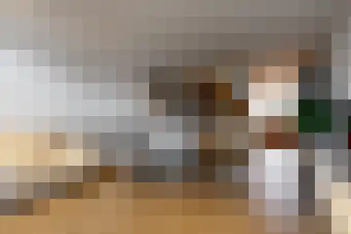 Christiaan Sepplaan 20 Beverwijk thumbnail 7