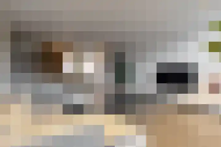 Christiaan Sepplaan 20 Beverwijk thumbnail 8
