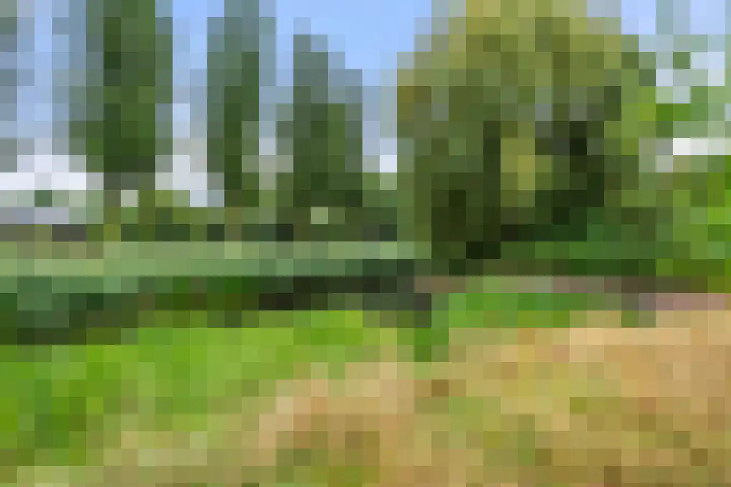 Christiaan van Abkoudeplantsoen 25 Wageningen thumbnail 13
