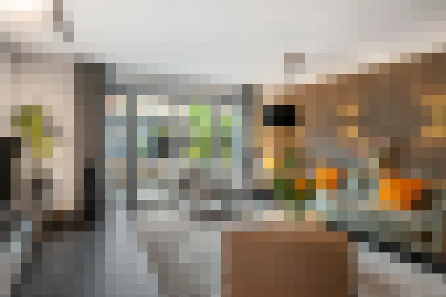 Christiaan van Abkoudeplantsoen 25 Wageningen thumbnail 23
