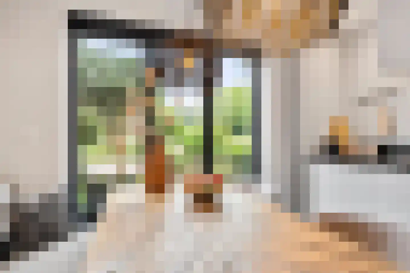 Christiaan van Abkoudeplantsoen 25 Wageningen thumbnail 30