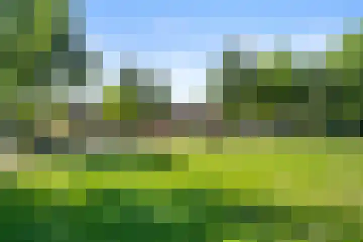 Christiaan van Abkoudeplantsoen 35 Wageningen thumbnail 10