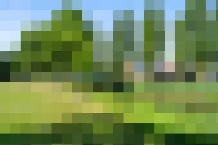Christiaan van Abkoudeplantsoen 35 Wageningen thumbnail 12