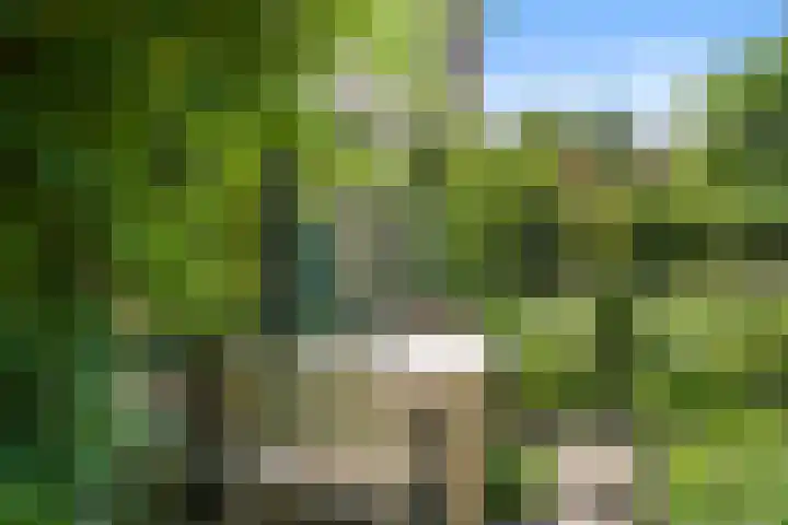 Christiaan van Abkoudeplantsoen 35 Wageningen thumbnail 15