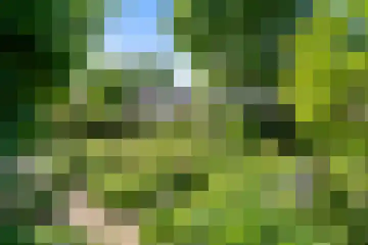 Christiaan van Abkoudeplantsoen 35 Wageningen thumbnail 16