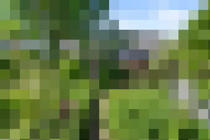 Christiaan van Abkoudeplantsoen 35 Wageningen thumbnail 17