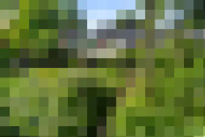 Christiaan van Abkoudeplantsoen 35 Wageningen thumbnail 18