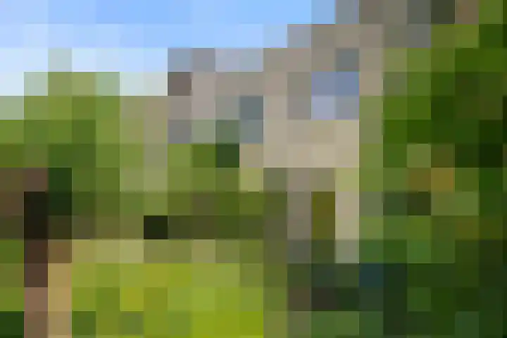 Christiaan van Abkoudeplantsoen 35 Wageningen thumbnail 20