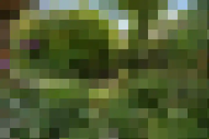Christiaan van Abkoudeplantsoen 35 Wageningen thumbnail 21