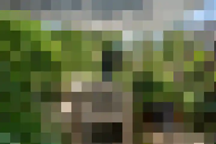 Christiaan van Abkoudeplantsoen 35 Wageningen thumbnail 23