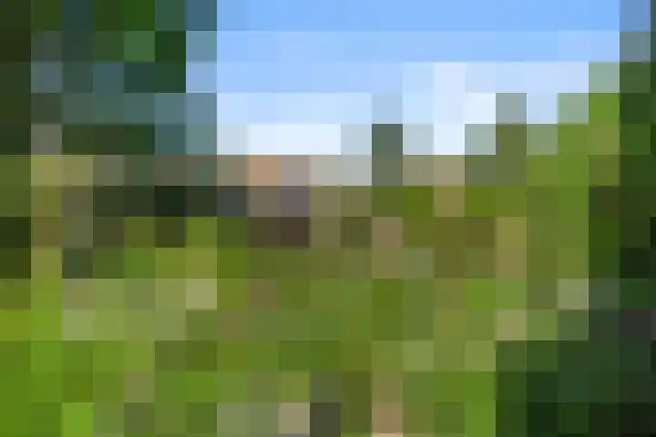 Christiaan van Abkoudeplantsoen 35 Wageningen thumbnail 4