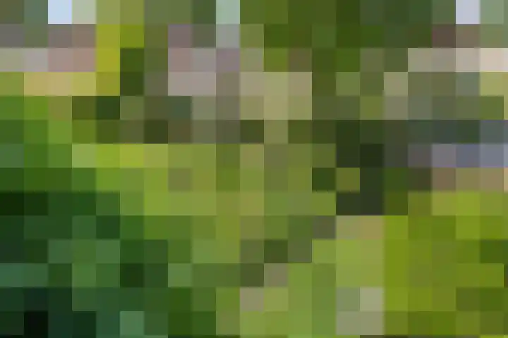 Christiaan van Abkoudeplantsoen 35 Wageningen thumbnail 47