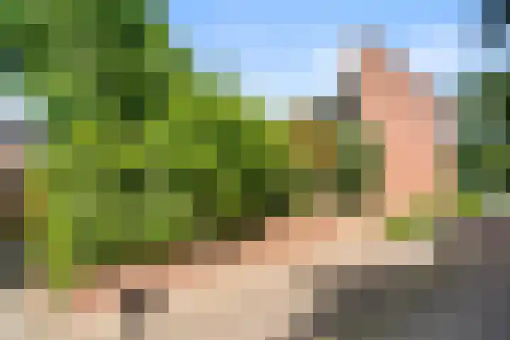 Christiaan van Abkoudeplantsoen 35 Wageningen thumbnail 7