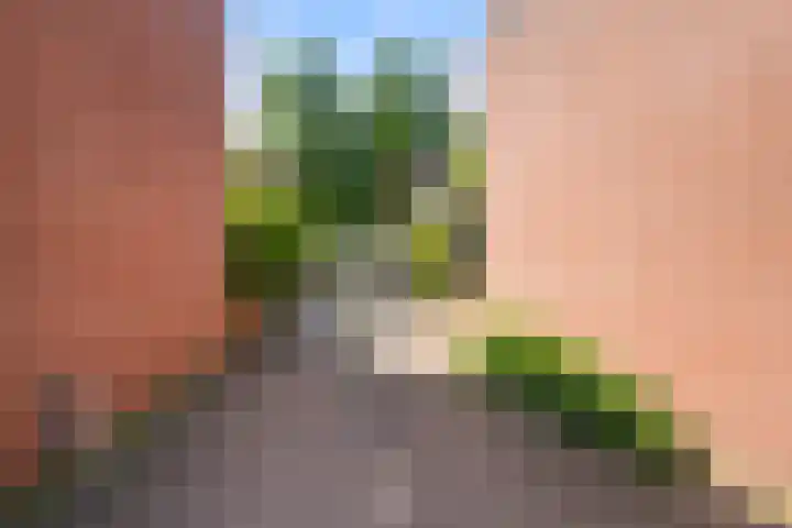 Christiaan van Abkoudeplantsoen 35 Wageningen thumbnail 8
