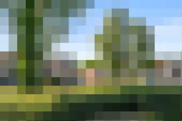 Christiaan van Abkoudeplantsoen 35 Wageningen thumbnail 9