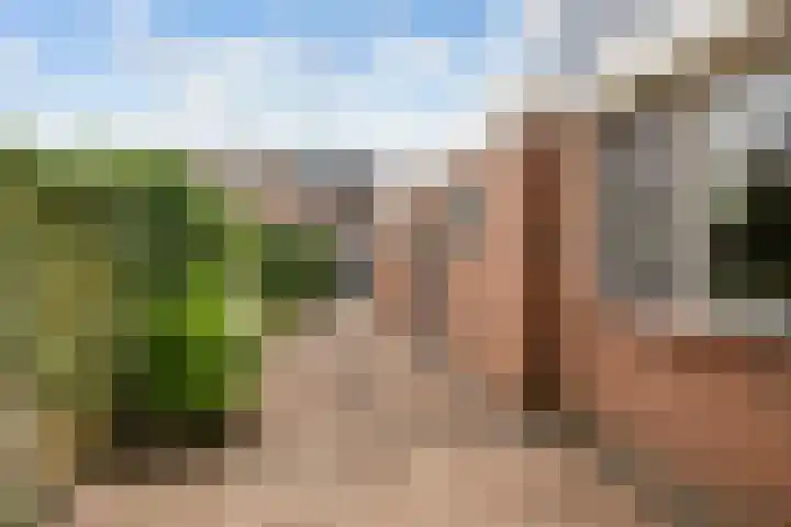 Christiaan van Abkoudestraat 32 Volendam thumbnail 40